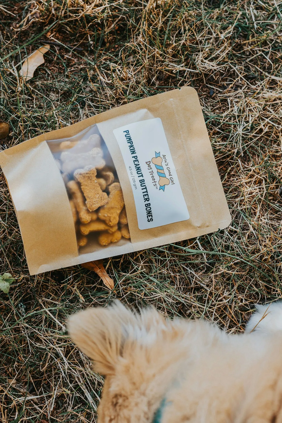 Best CBD Treats for Dogs: 7 Senior-Tested Picks for 2026