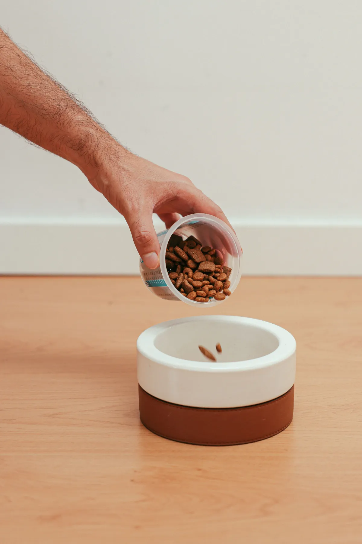 Best Dog Food for Senior Dogs to Lose Weight: What Actually Works