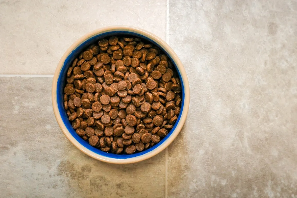 Best Senior Dog Food: 6 Vet-Recommended Options Compared (2026)