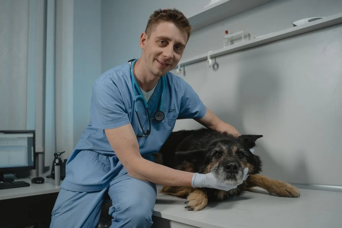 Do Senior Dogs Need Vaccines? What Changes With Age