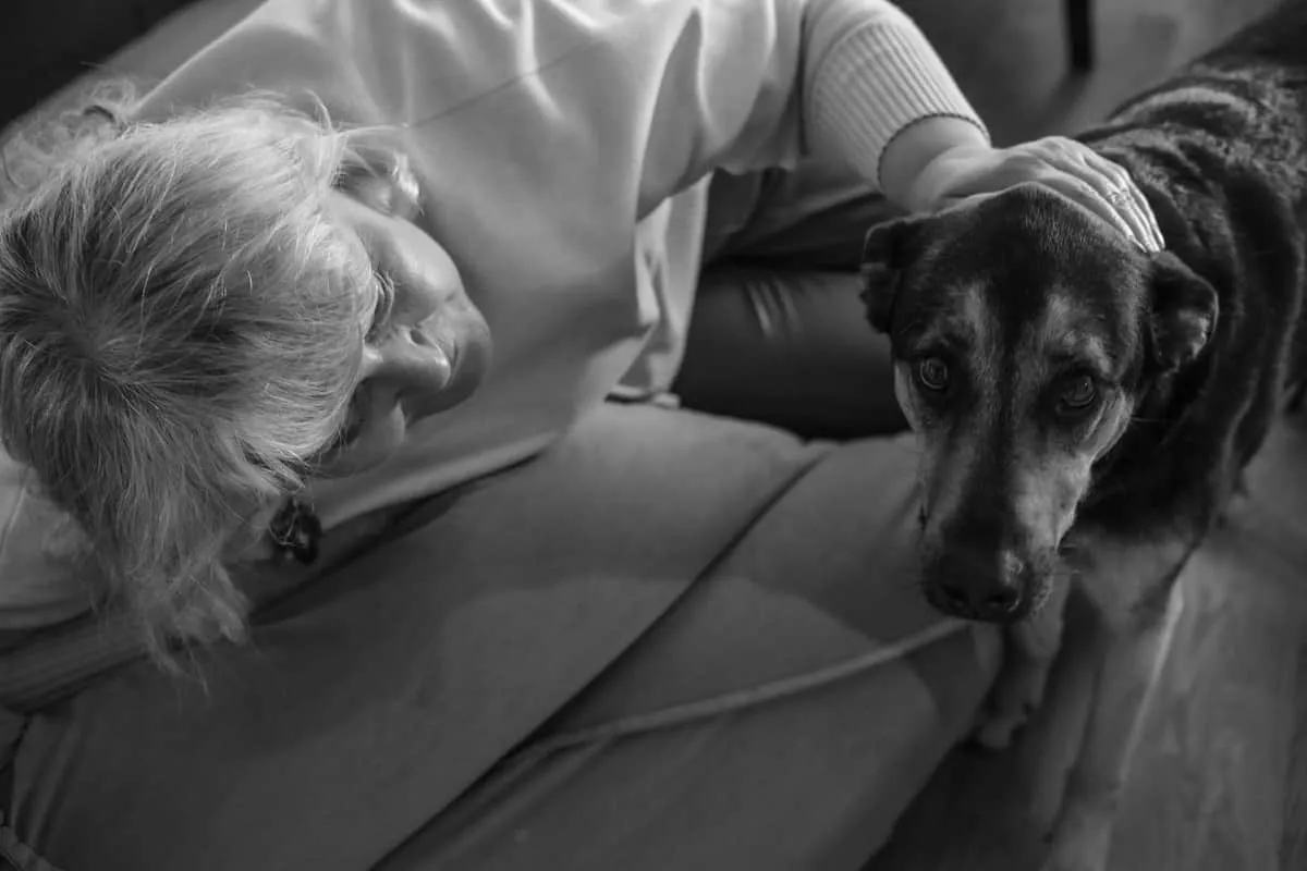 How to Lift a Senior Dog with Hip Pain (Without Hurting Either of You)
