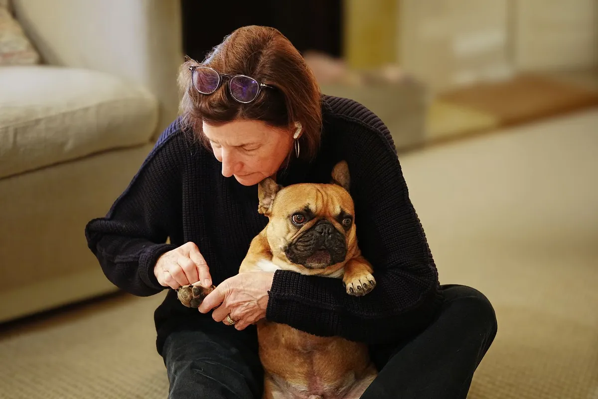 How to Trim Senior Dog Nails Without the Struggle