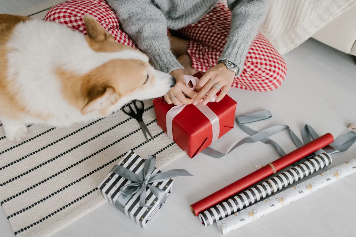 London Penny Review: Gift Wrap That Gives Back to Dog Shelters