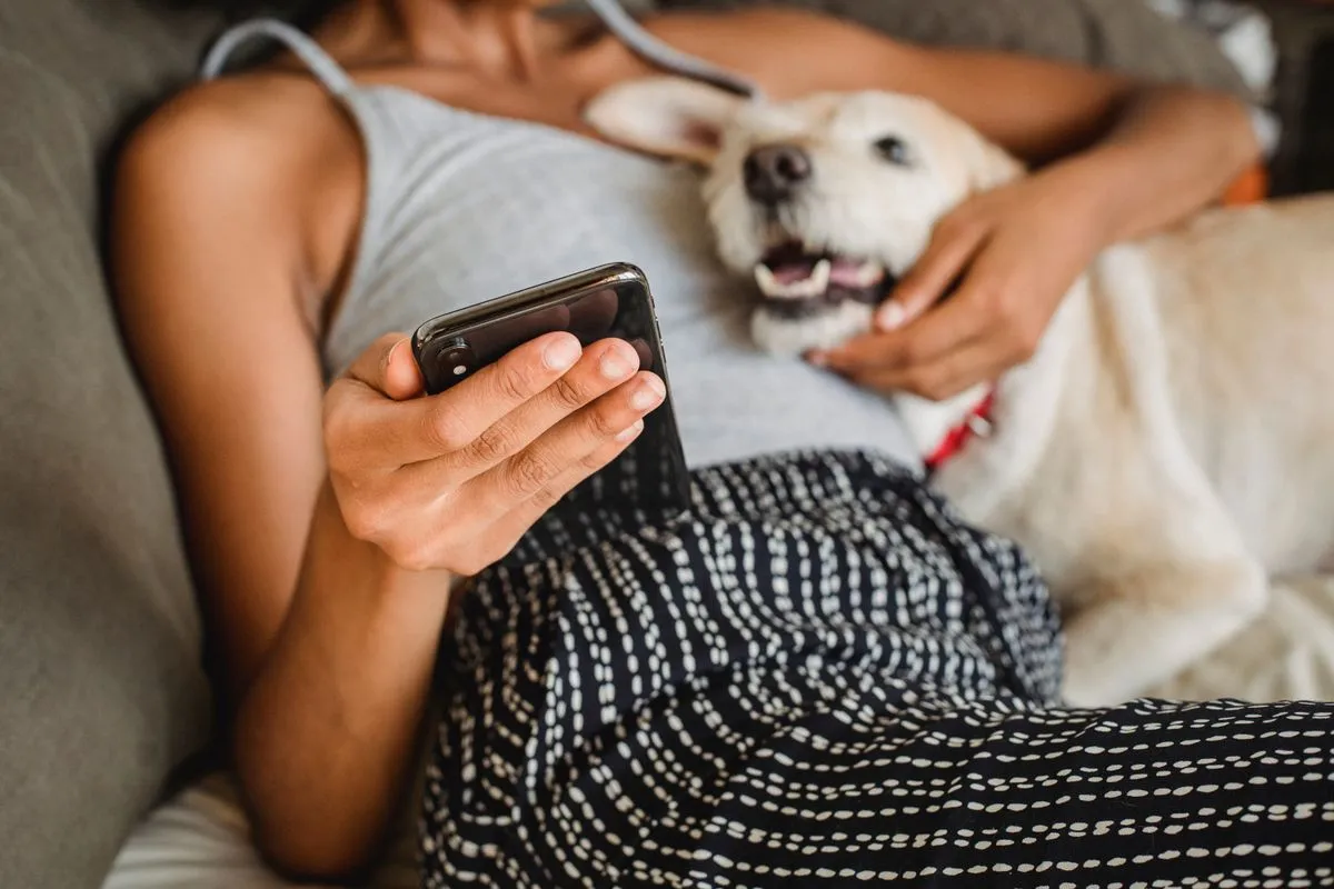 Pet Telehealth for Senior Dogs (2026): Dutch vs Pawp vs Vetster